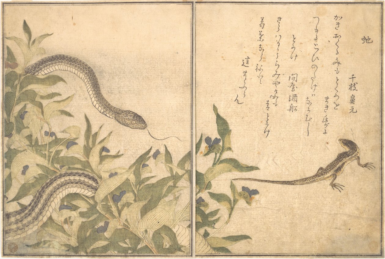 Rattenslang (Hebi); hagedis of skink (Tokage), uit het Prentenboek van kruipende wezens (Ehon mushi erami) door Kitagawa Utamaro