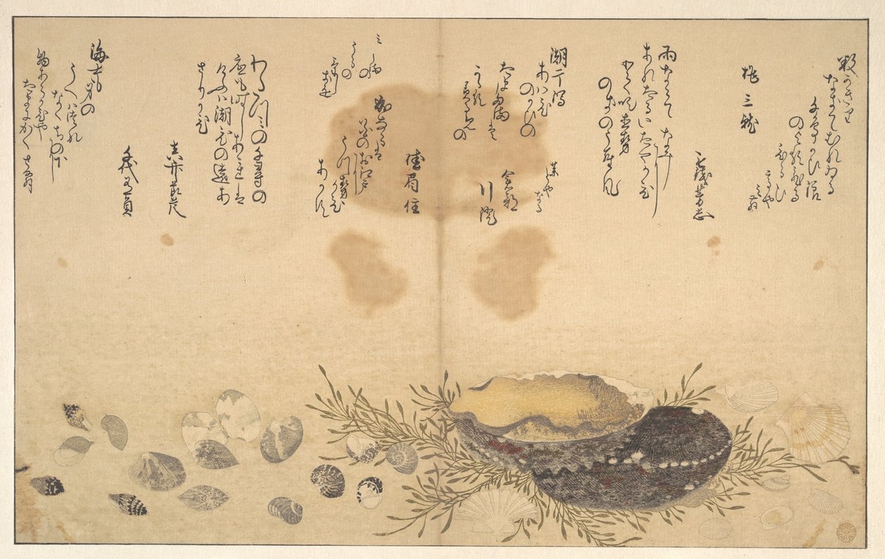 Schelpen onder water door Kitagawa Utamaro