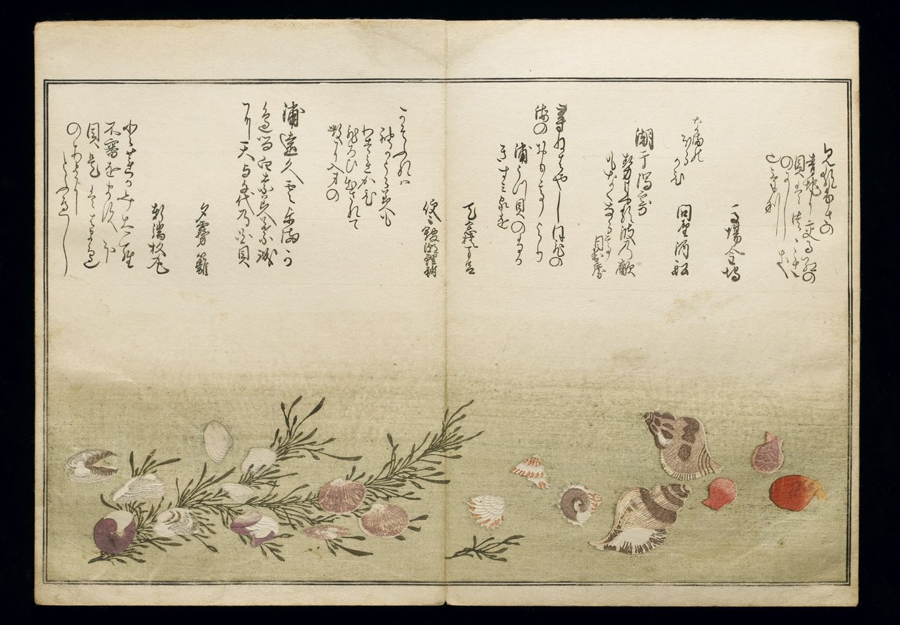Shiohi no tsuto (Geschenken van de Eb), bekend als het Schelpenboek, 1789 door Kitagawa Utamaro