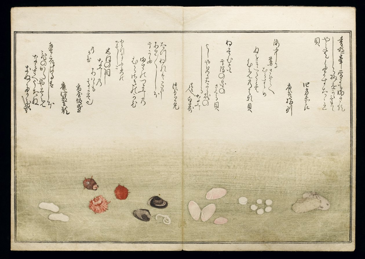 Shiohi no tsuto (Geschenken van de Eb), bekend als het Schelpenboek, 1789 door Kitagawa Utamaro