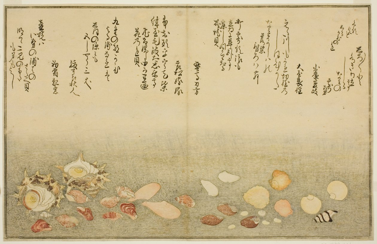 Shiro-gai, namima-gashiwa, makura-gai, iro-gai, aza-gai, sadae-gai, uit het geïllustreerde boek "Giften van de Eb (Shiohi no tsuto)" door Kitagawa Utamaro
