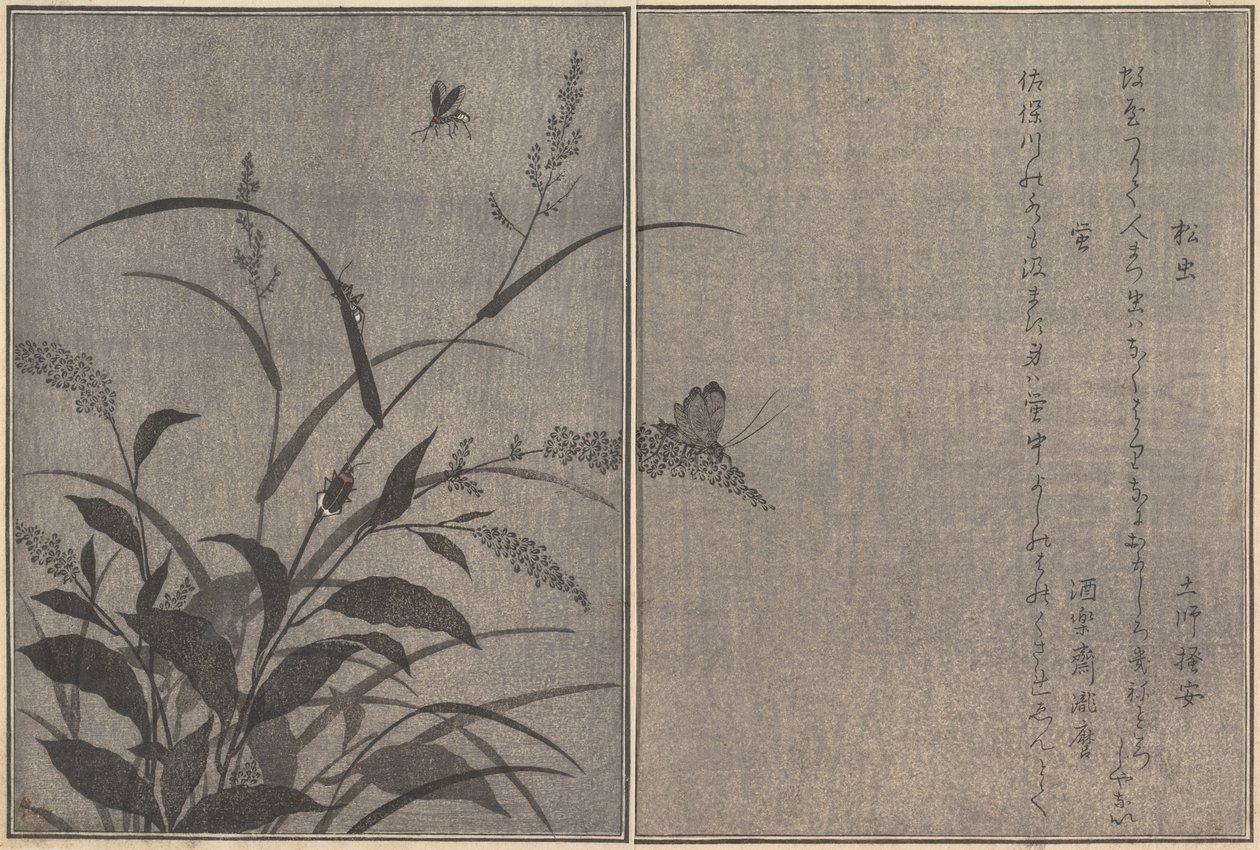 Boomkrekel Matsumushi, Vuurvlieg Hotaru..., 1788 door Kitagawa Utamaro
