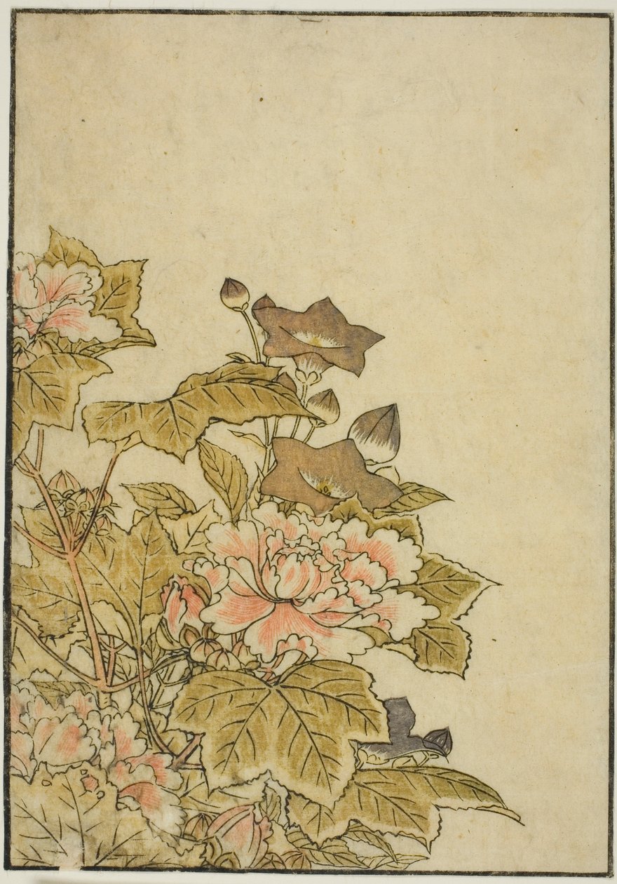 Herfstbloemen: Pioenen en Klokjesbloemen, uit het boek "Spiegel van Mooie Vrouwen van de Plezierkwartieren (Seiro bijin awase sugata kagami)," vol. 2 door Kitao Shigemasa