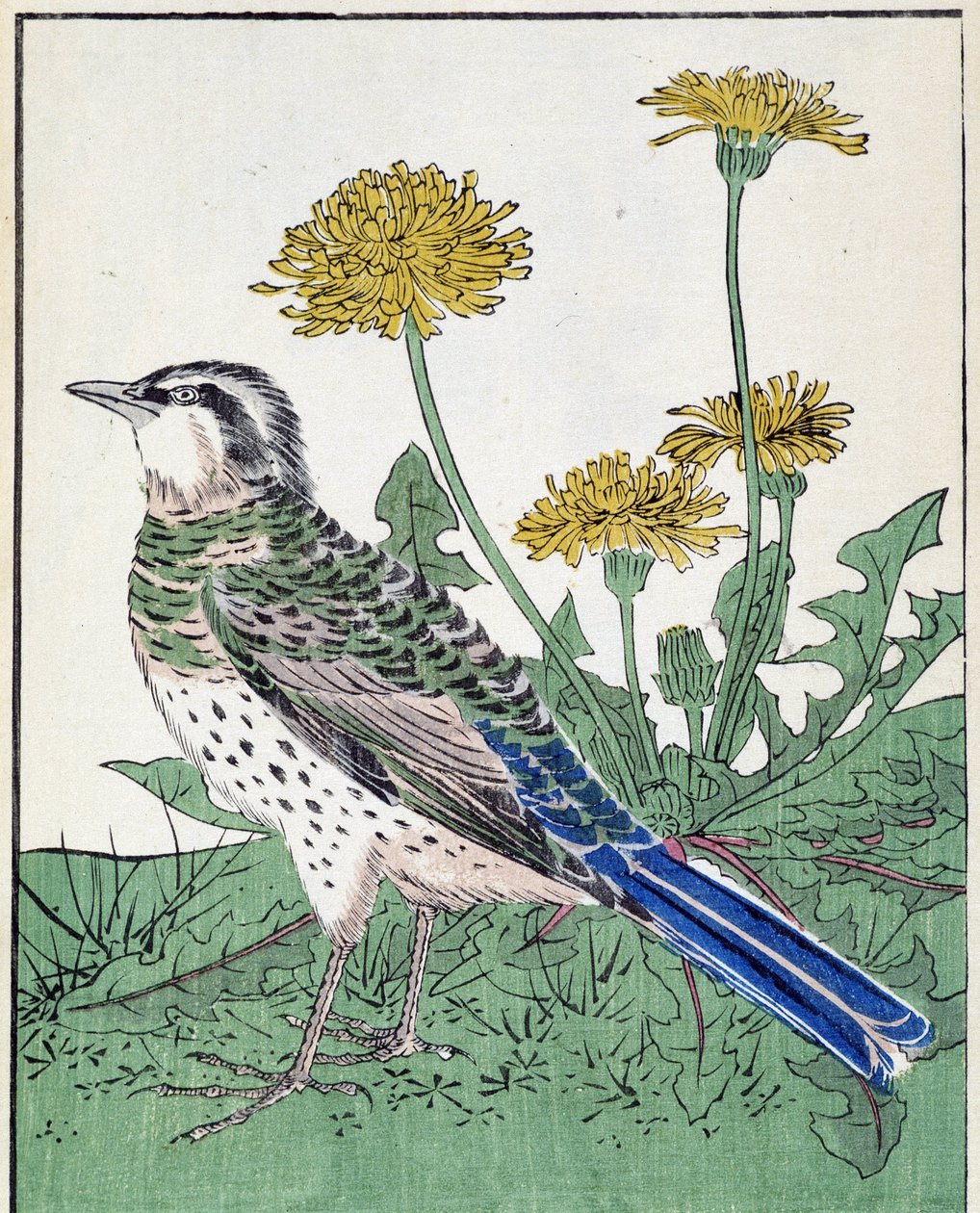 Vogel. Japanse tekening door Kitao Kosuisai door Kitao Shigemasa
