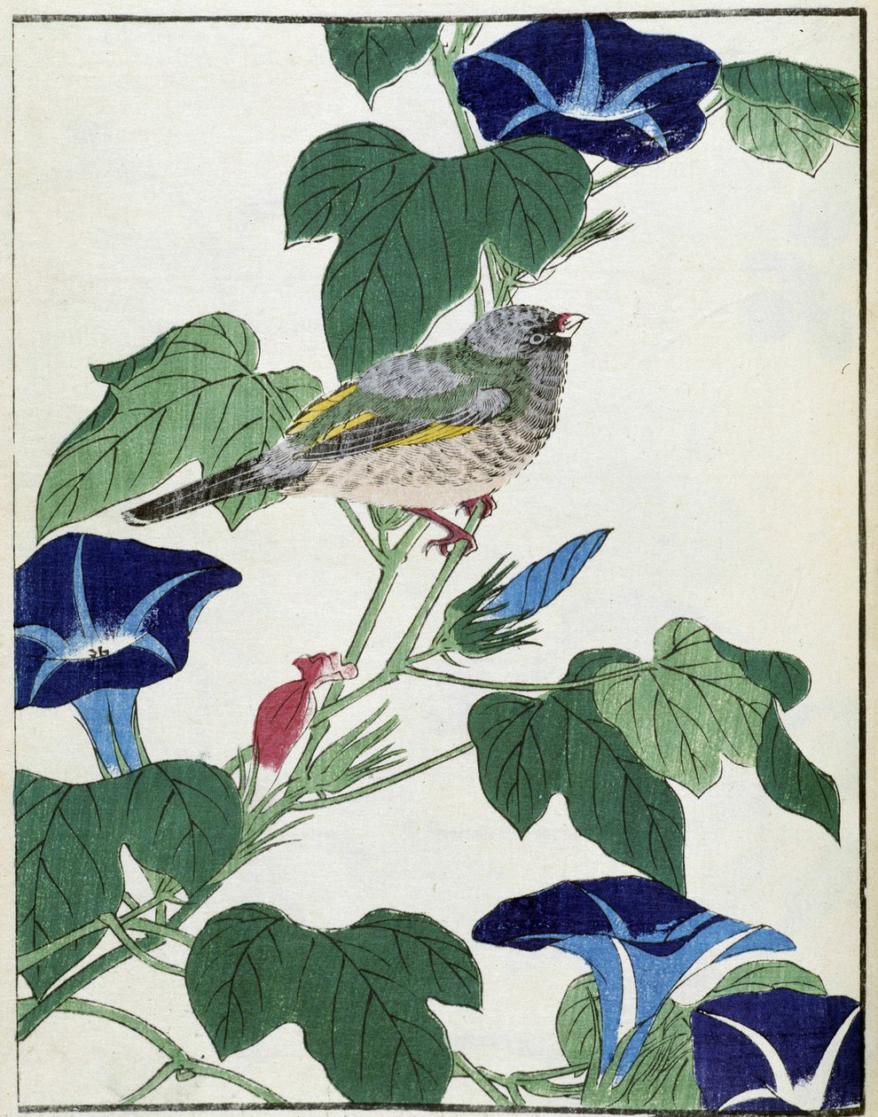 Vogel op een boom. Japanse tekening door Kitao Kosuisai door Kitao Shigemasa