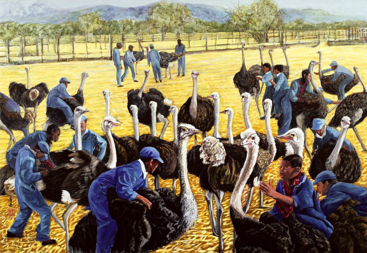 Struisvogelfarm door Komi Chen