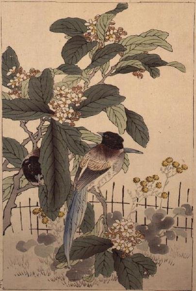 Blauwstaartvogels tussen de Bloesem uit Bunrei Kacho Gafu, uitgegeven 1885 door Kono Bairei