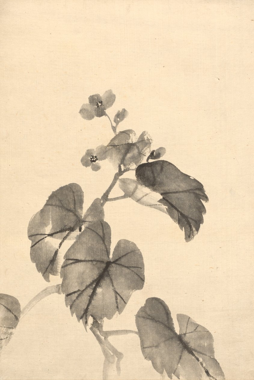 Tak van Begonia in Bloei door Kono Bairei