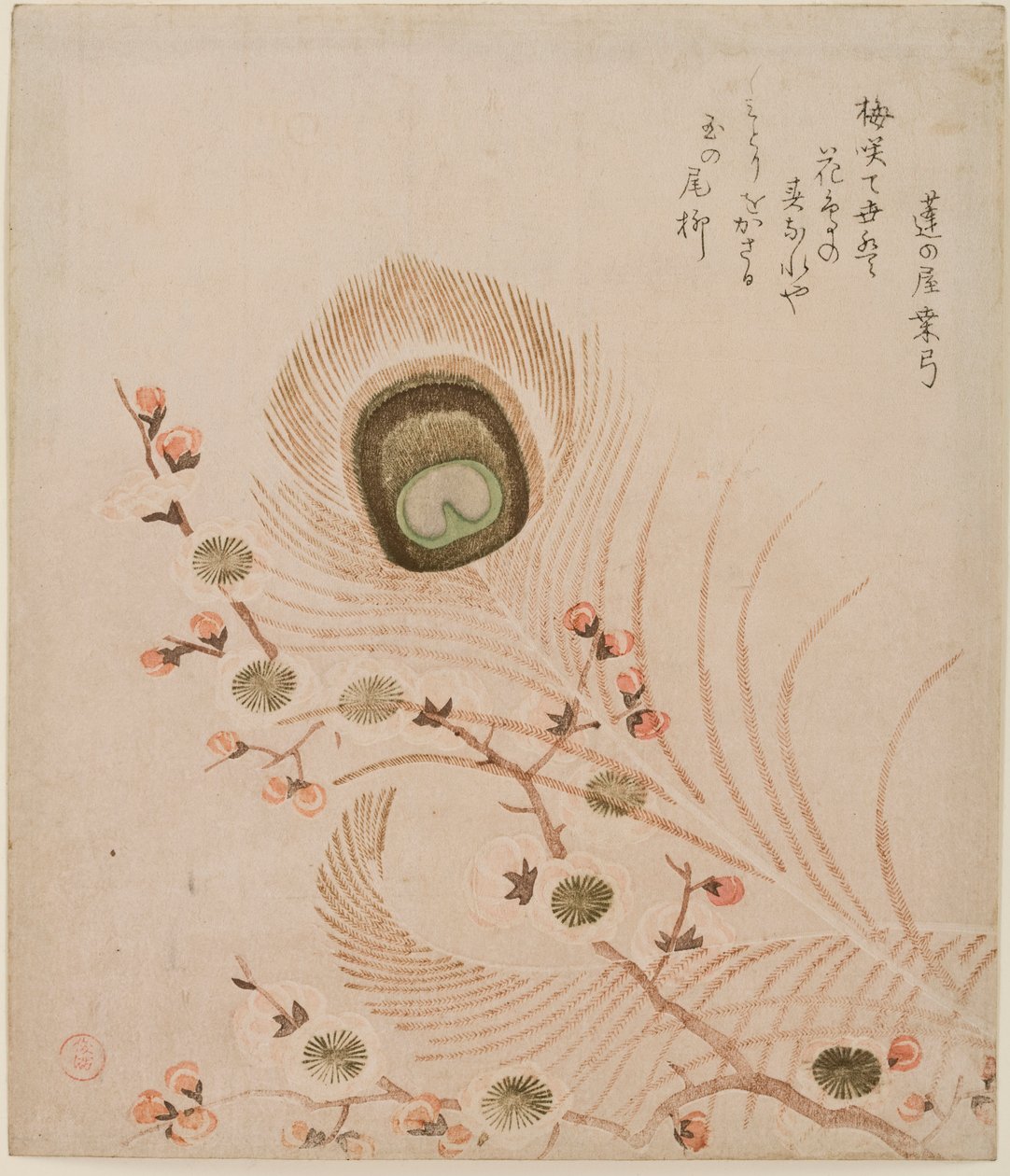 Pruimentak en pauwenveren, midden tot laat 1810s door Kubo Shumman
