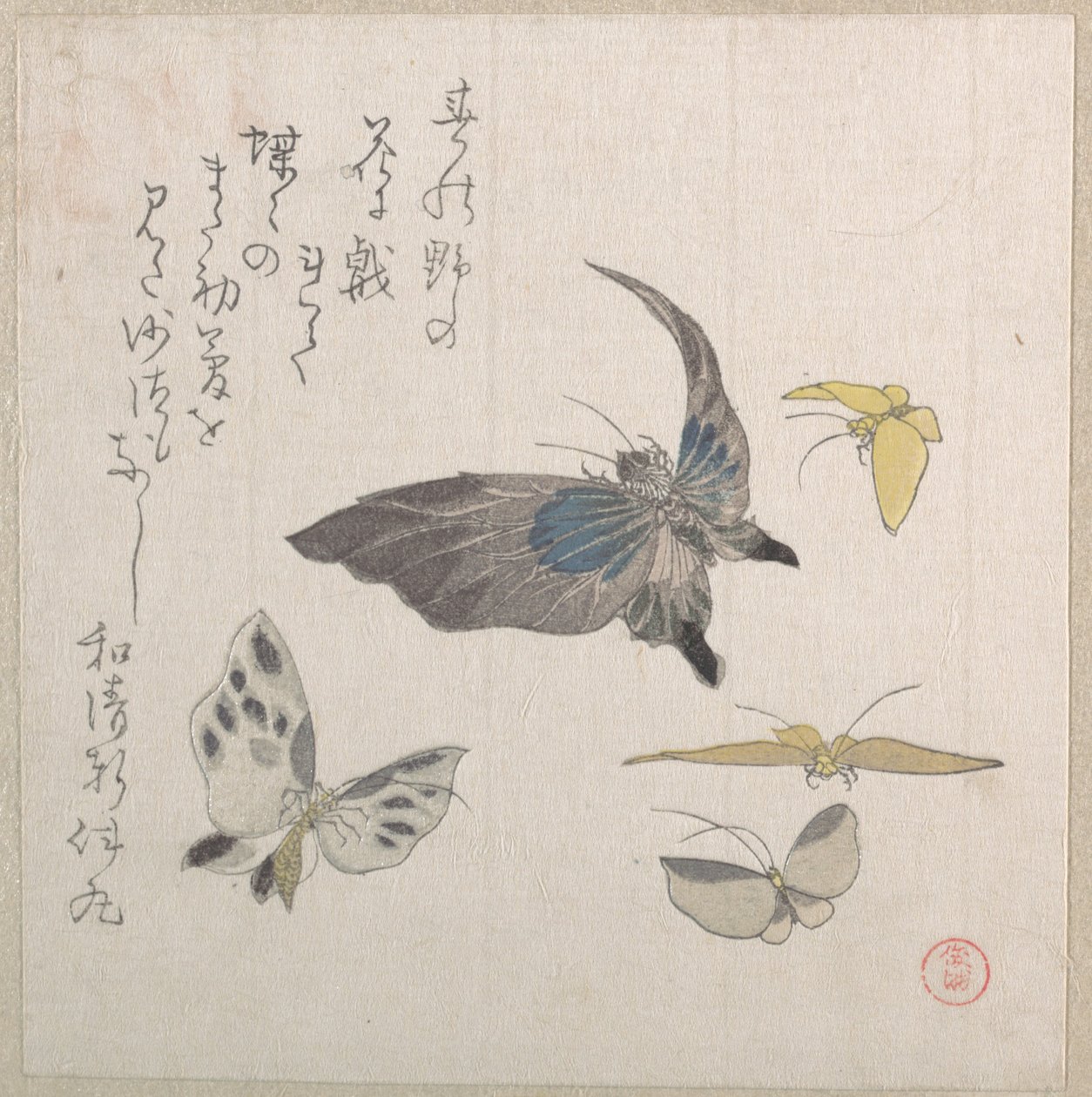 Vlinders door Kubo Shunman