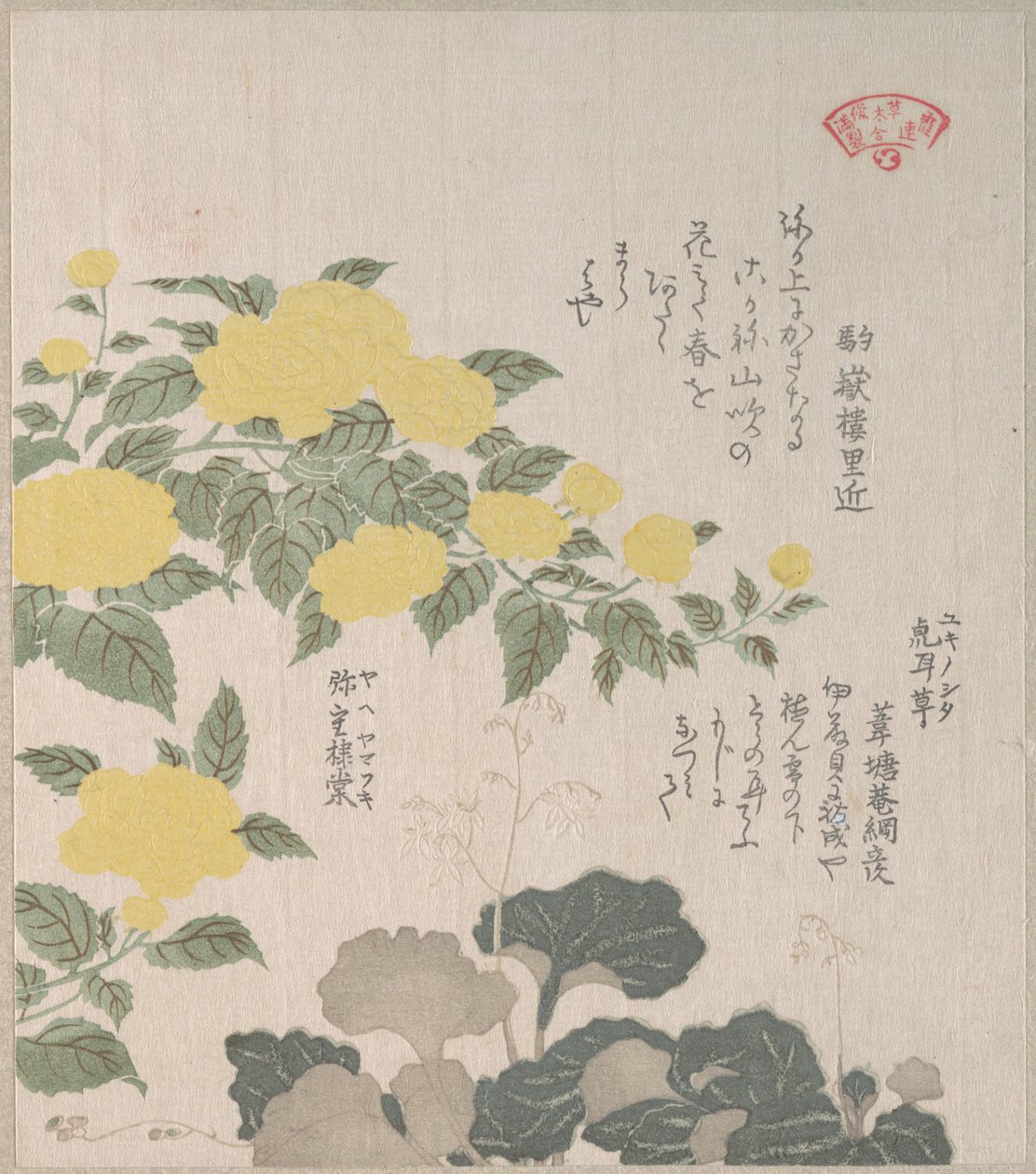 Corchorus (of Gele Roos) en Kruipende steenbreek door Kubo Shunman