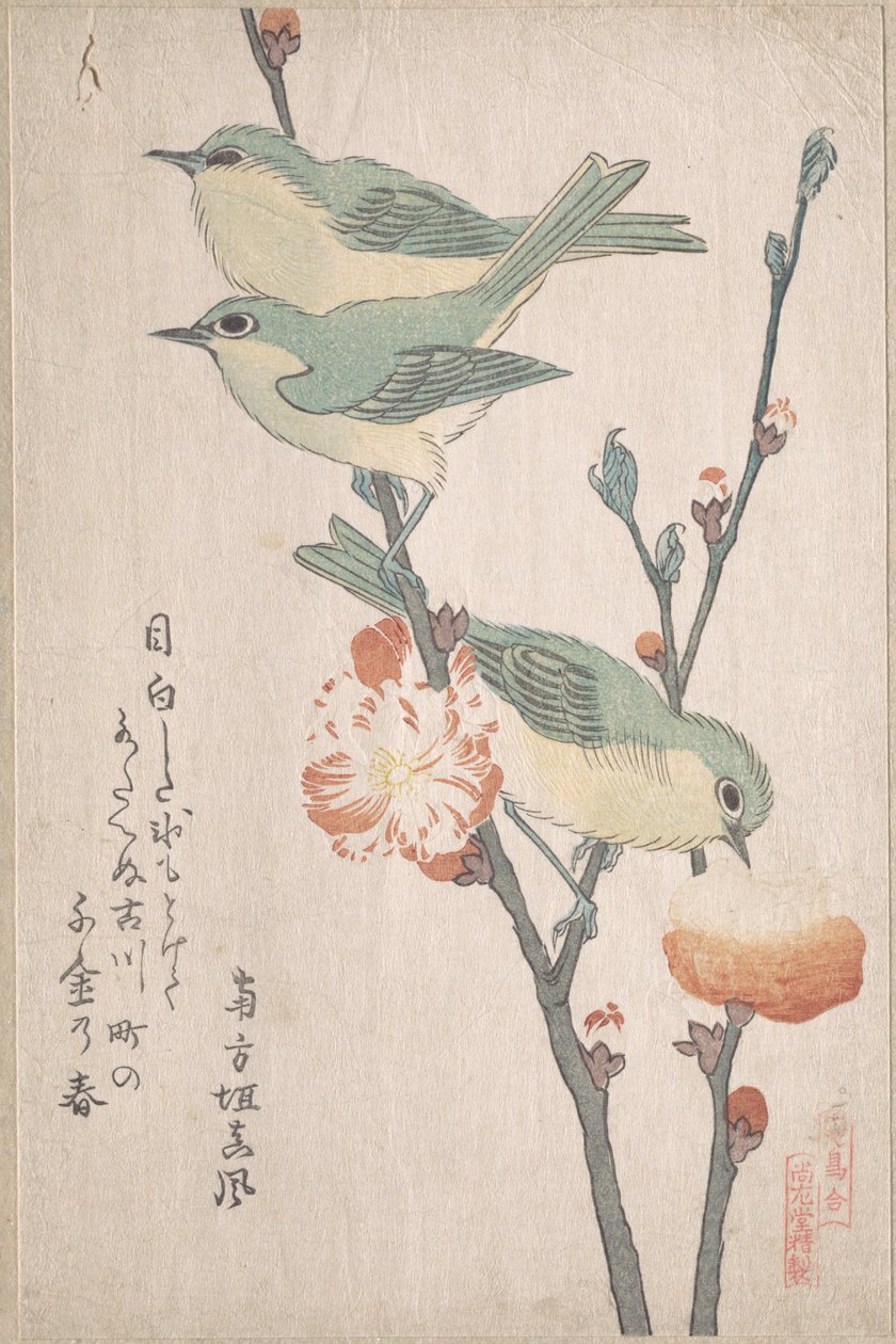 Japanse brilvogels op een tak van een perzikboom, uit de serie Een verzameling vogels (Tori awase), uit het surimonoalbum Lenteregen (Harusame surimono-jō, deel 3) door Kubo Shunman