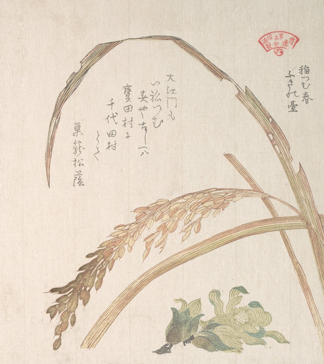 Rijstplant en Boterklis, 19e eeuw door Kubo Shunman