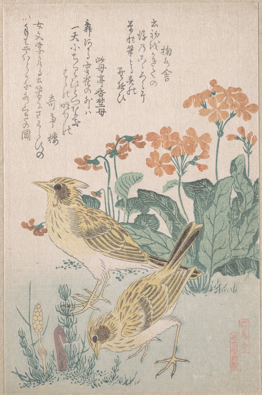 „Lerken en sleutelbloemen”, uit de serie „Een verzameling vogels” (Tori awase), uit het album „Lente-regen surimono” (Harusame surimono-jō, deel 3) door Kubo Shunman