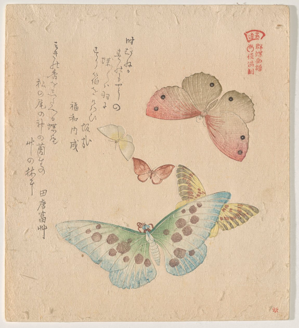 Het Schilderhandboek van Vlinders (Guncho? Gafu) door Kubo Shunman