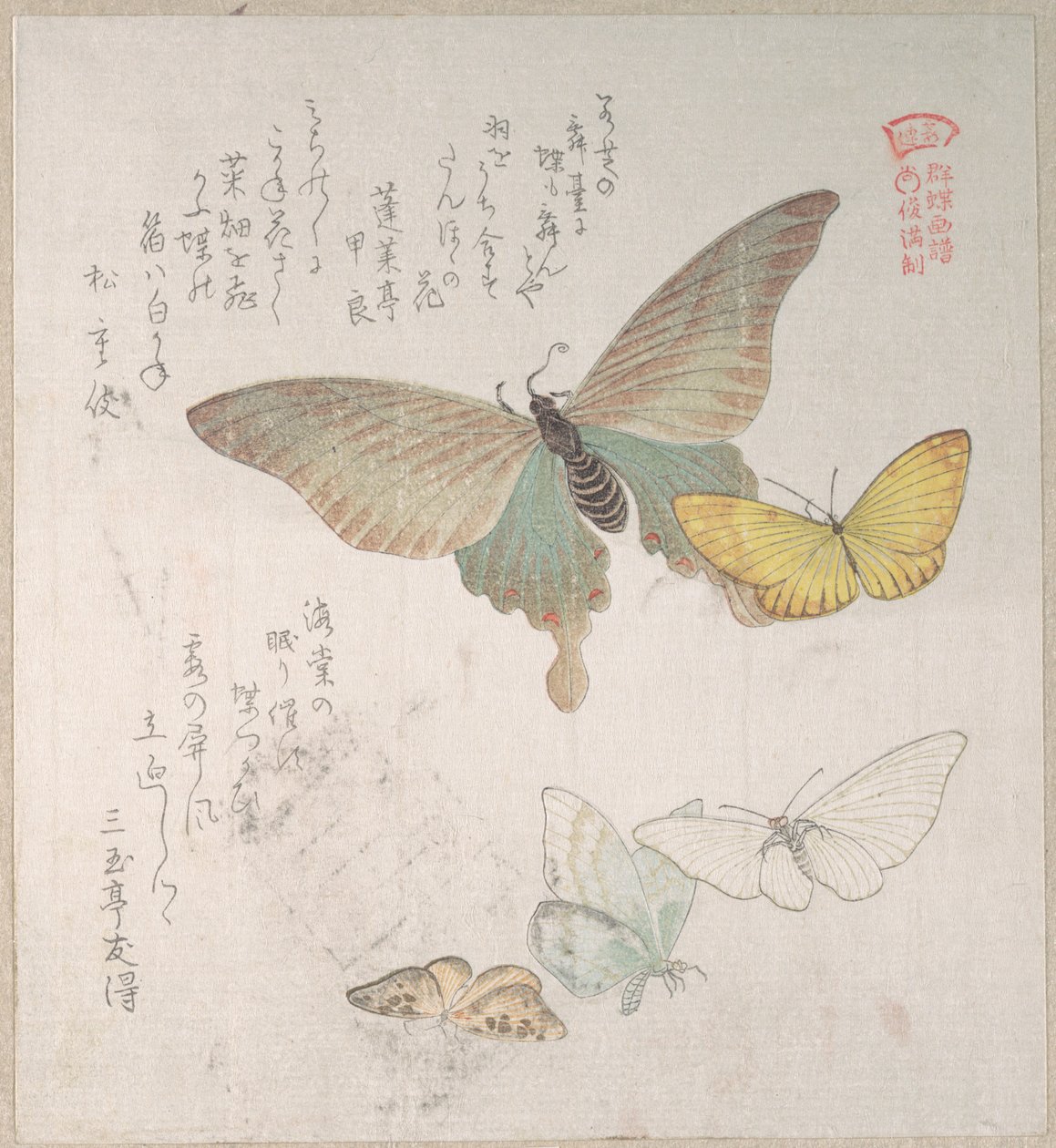 Diverse motten en vlinders door Kubo Shunman