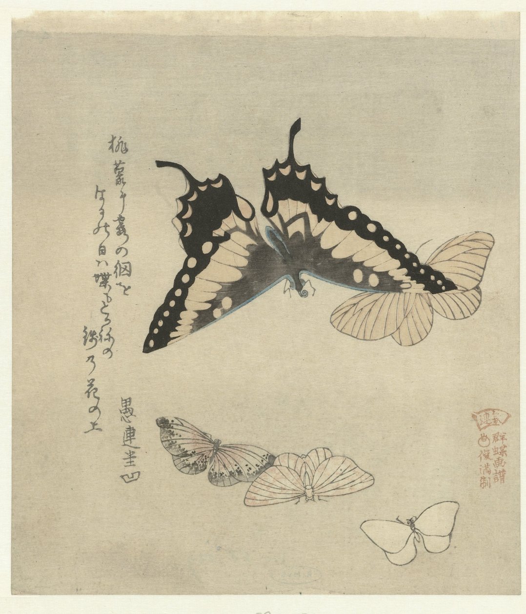 Vijf vlinders (Een serie prenten met vlinders voor de Kasumi dichtersvereniging) (Kasumiren gunchô gafu) (series title) door Kubota Shunman