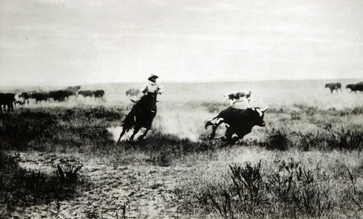 Cowboy te paard die een kalf vangt door L.A. Huffman