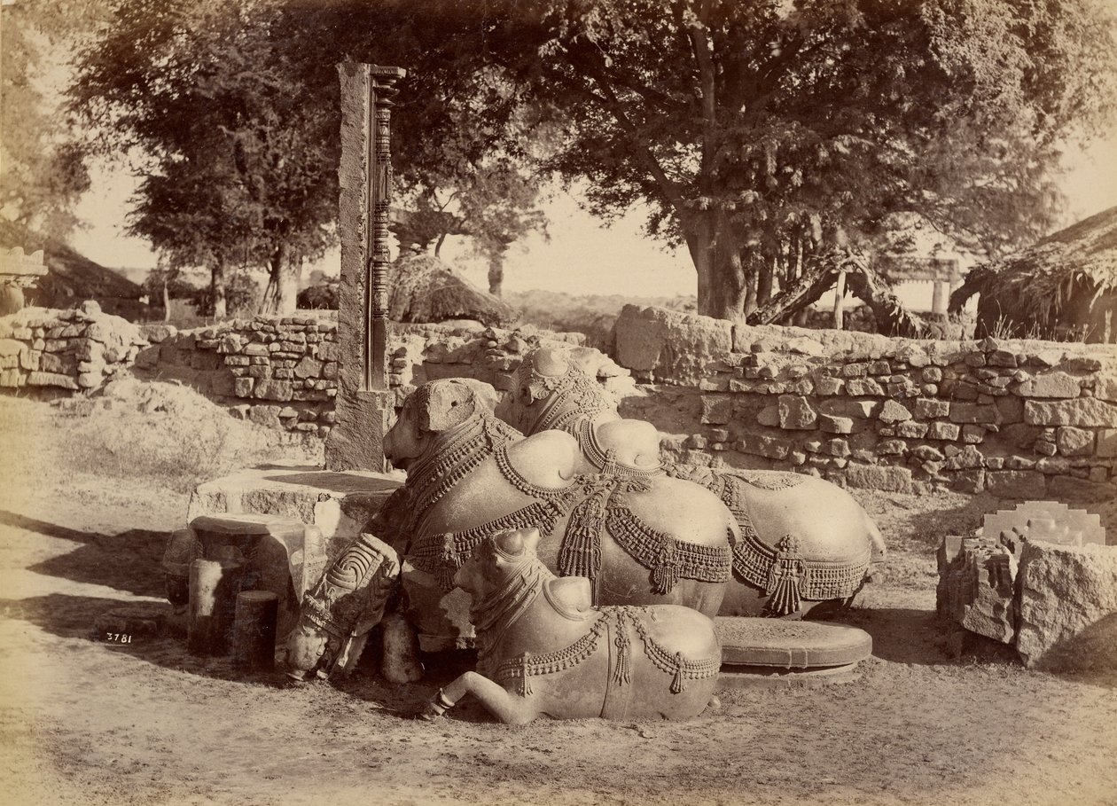 Heilige stieren in Warungal Fort door Lala Deen Dayal
