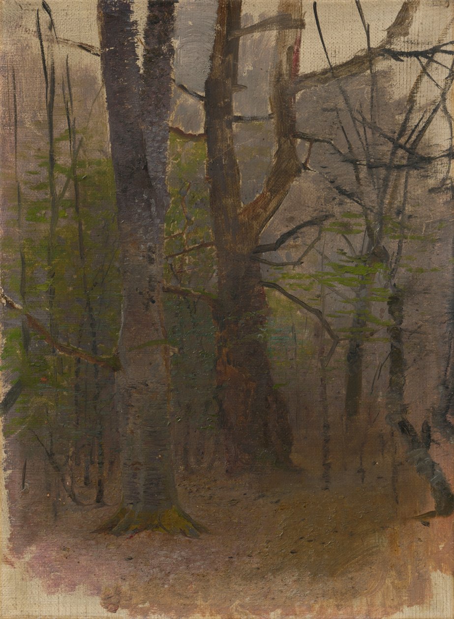 Vroege lente. Bos door Laszlo Mednyanszky