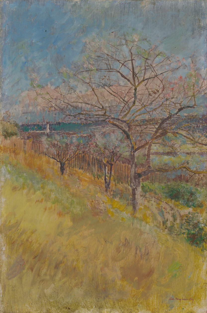 Vallei met bloeiende bomen, 1890-1900 door Laszlo Mednyanszky