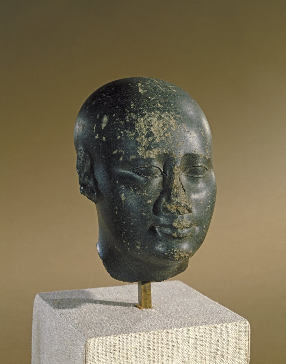 Hoofd van een man met ovale schedel door Late Period Egyptian