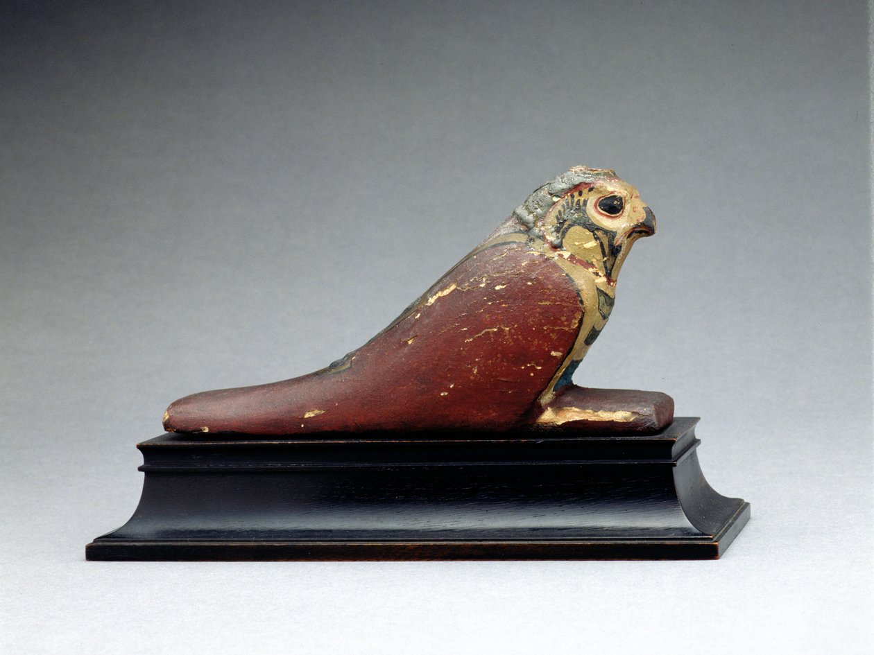 Gemummificeerde valk door Late Period Egyptian