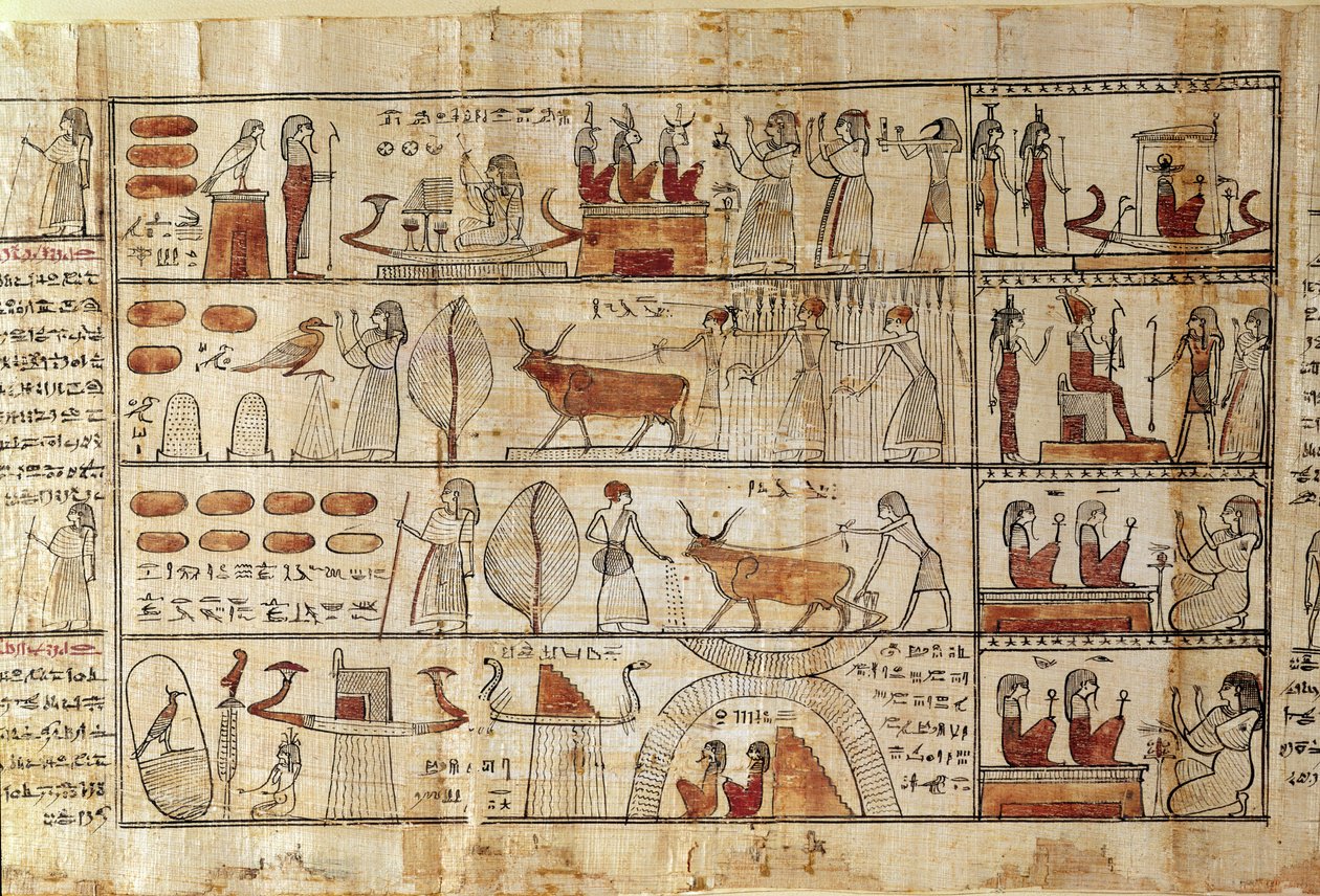 Landbouwscènes (detail) uit Het Dodenboek van Tsekhons door Late Period Egyptian