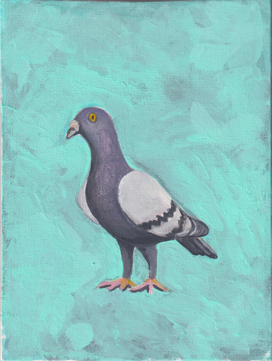 Duif c.2023 (acryl op doek) door Laurie Michaels
