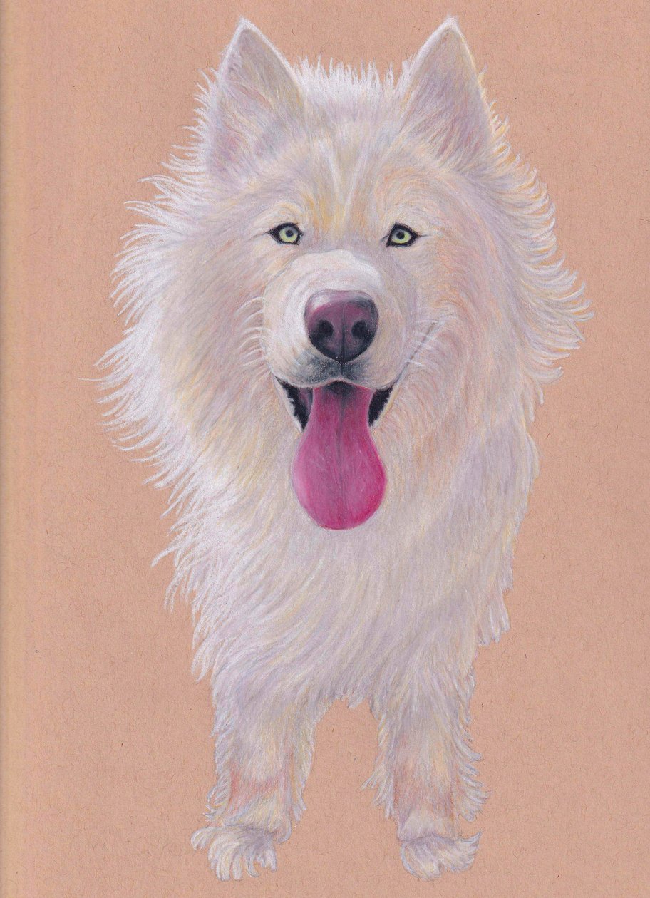 Snowky, 2021 (kleurpotlood op getint papier) door Laurie Michaels