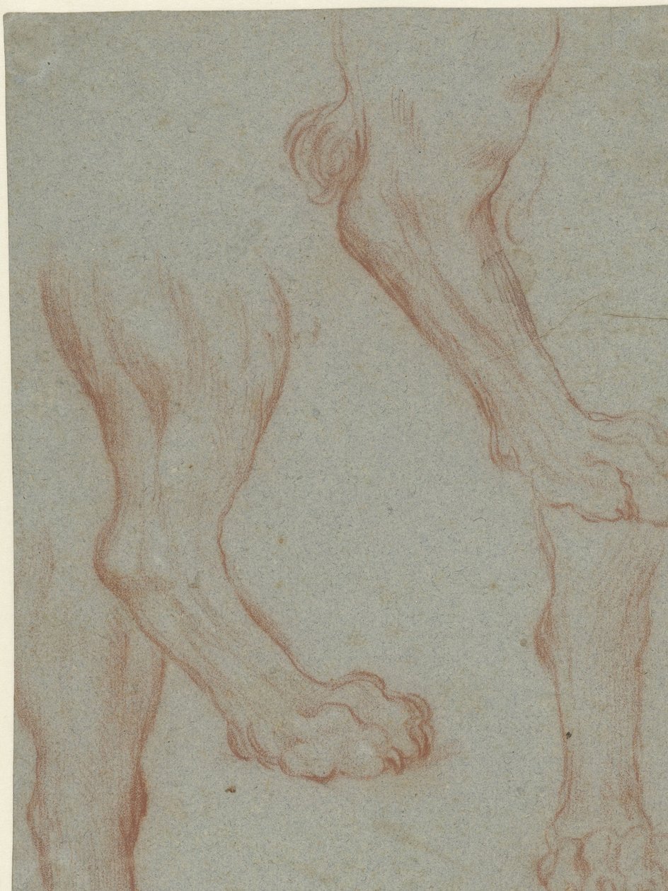 Studieblad met twee leeuwenpoten door Leandro Bassano