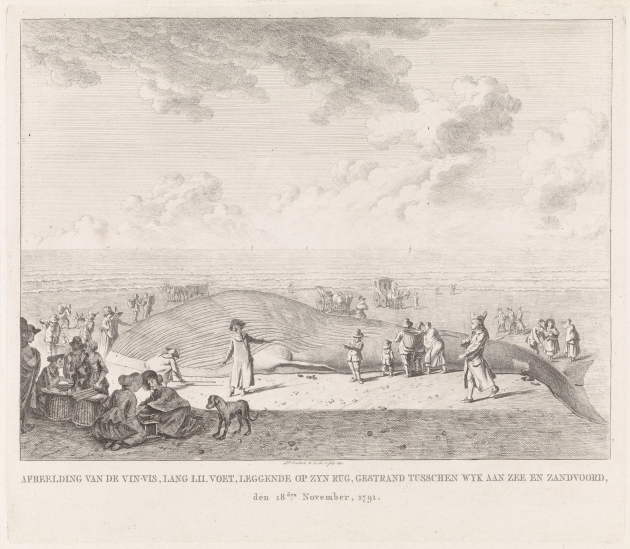 Vinvis aangespoeld op het strand bij Zandvoort door Leendert Overbeek