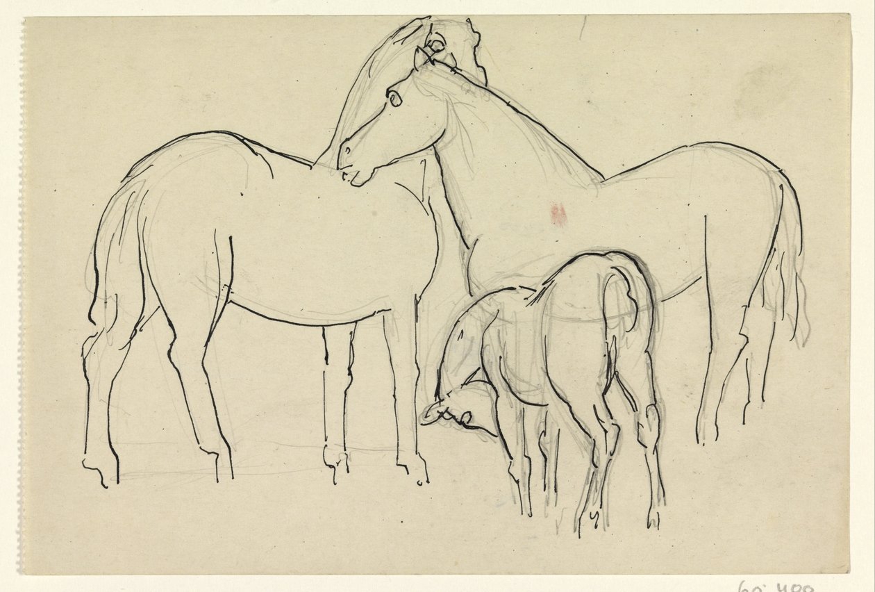 Twee paarden en een veulen door Leo Gestel