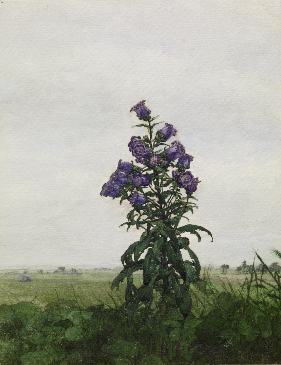 Klokjesbloem voor een landschap door Léon Bonvin