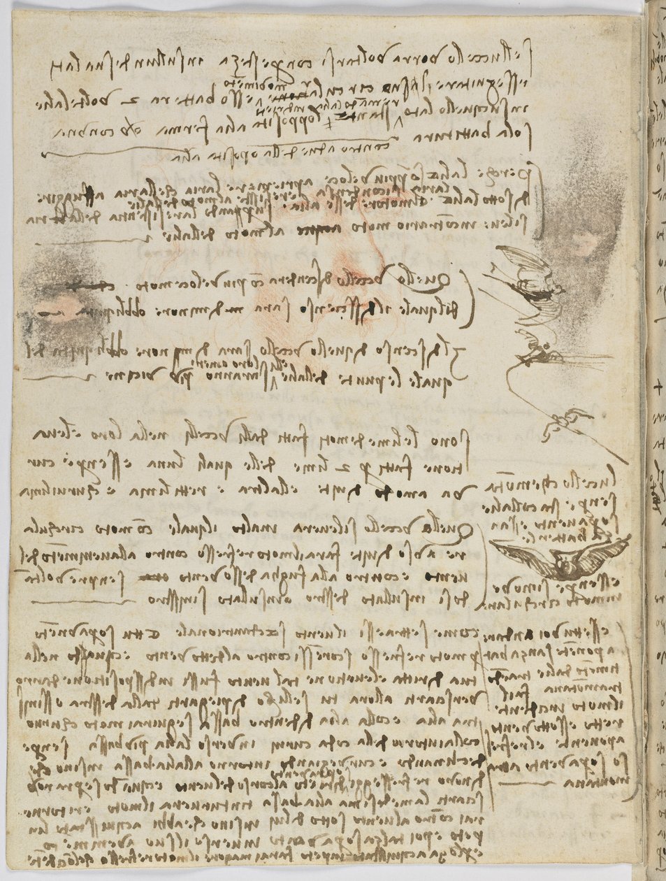 Vogelvluchtcode, c. 1505-06, blad 10 verso door Leonardo da Vinci