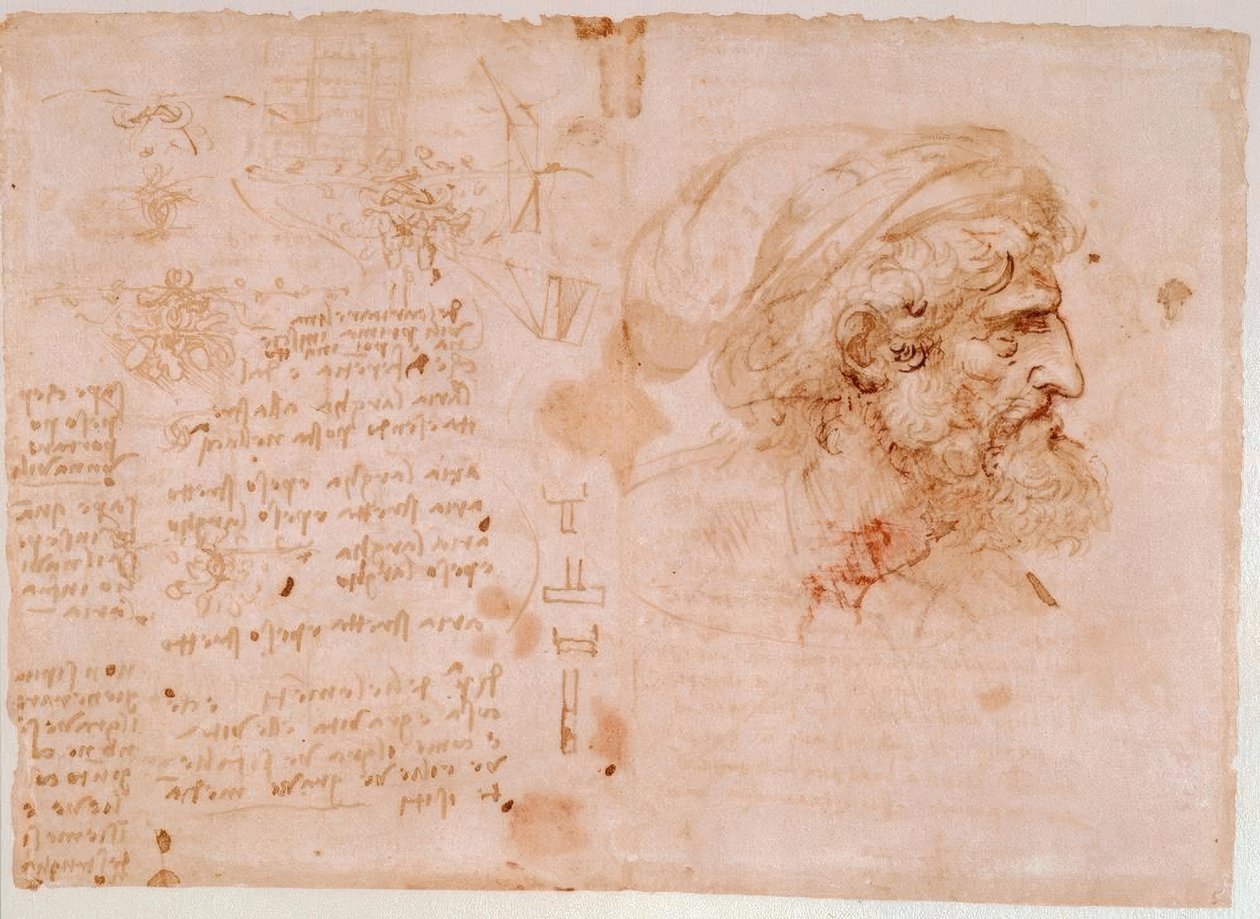 Bladornamentstudies / Profielportret van een oude man door Leonardo da Vinci