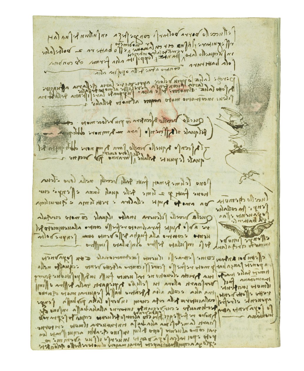 Codex over de vlucht van vogels, Folio 10 verso door Leonardo da Vinci