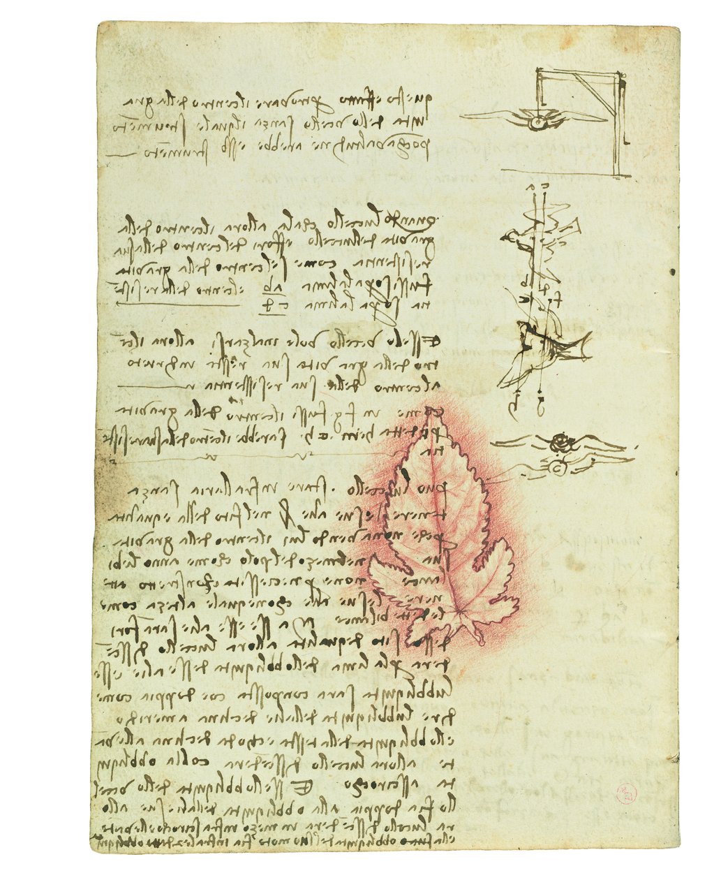 Codex over de vlucht van vogels, Folio 15 verso door Leonardo da Vinci