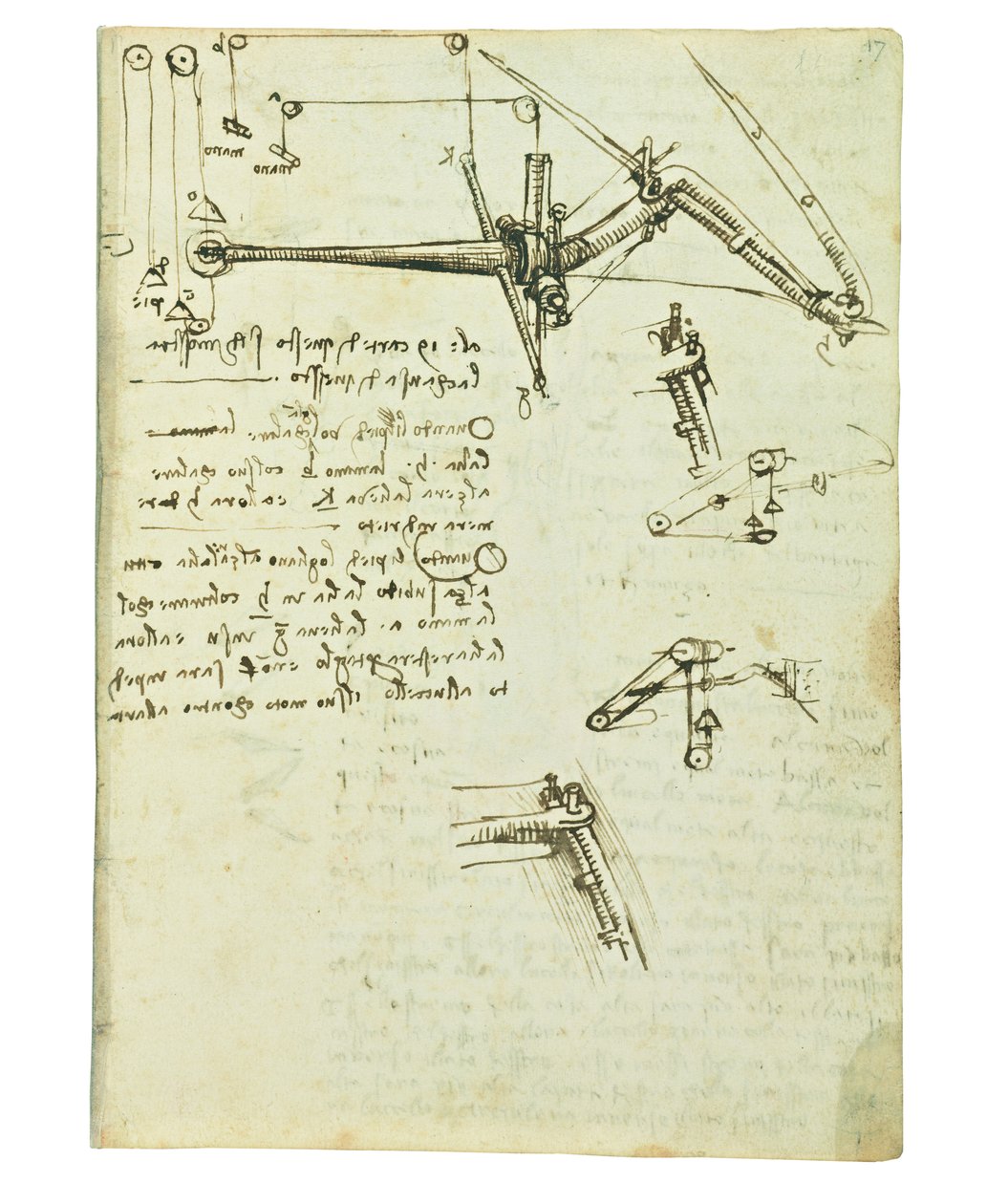 Codex over de vlucht van vogels, Folio 17 recto door Leonardo da Vinci