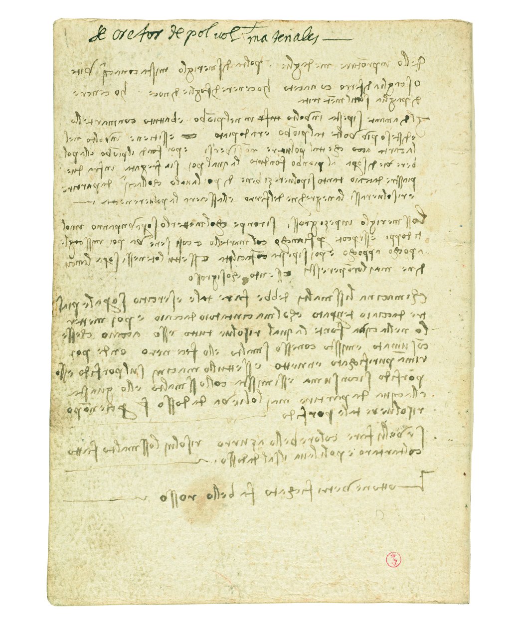 Codex over de vlucht van vogels, schutblad II door Leonardo da Vinci