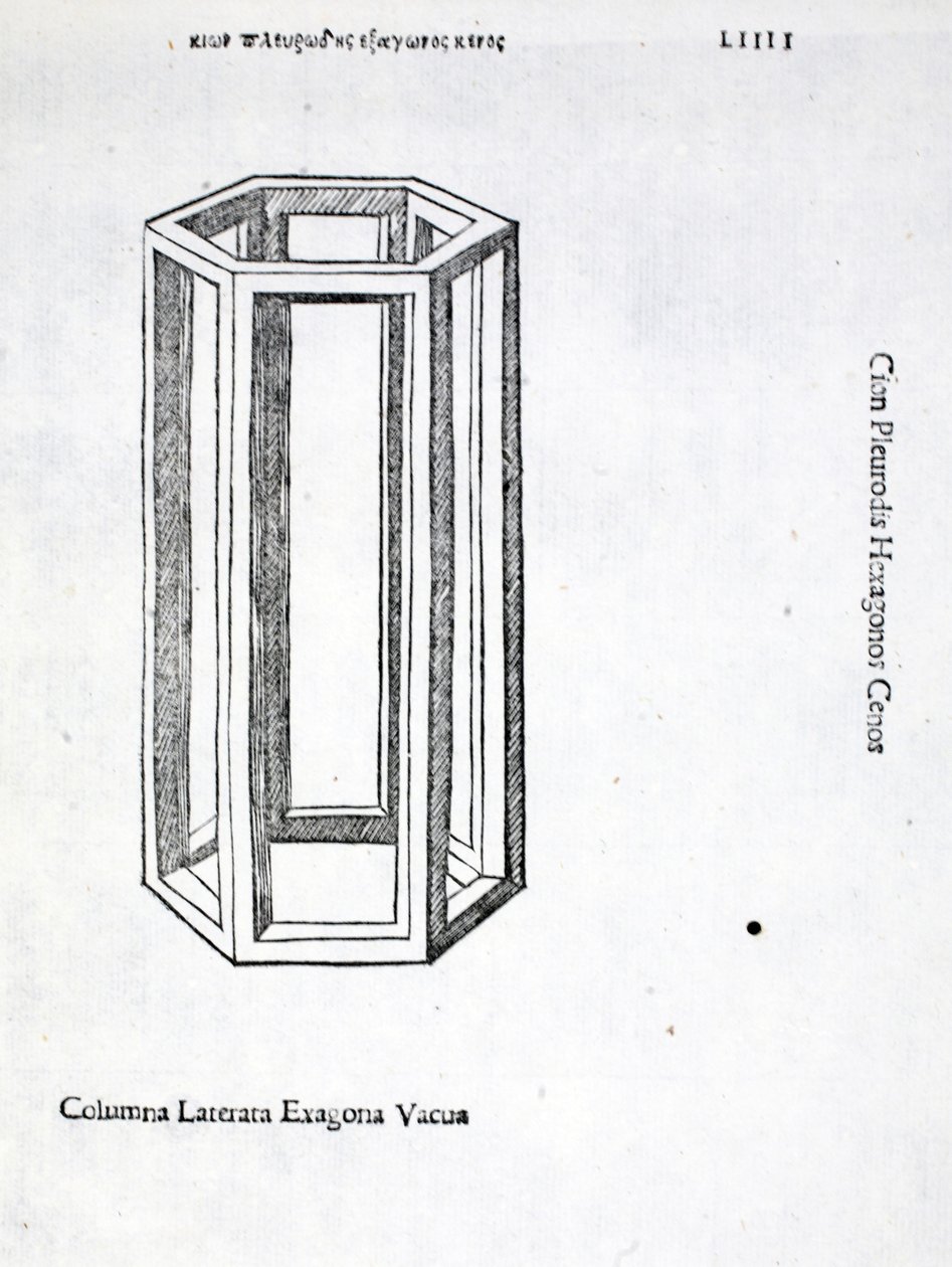Columna laterata exagona vacua, illustratie uit 
