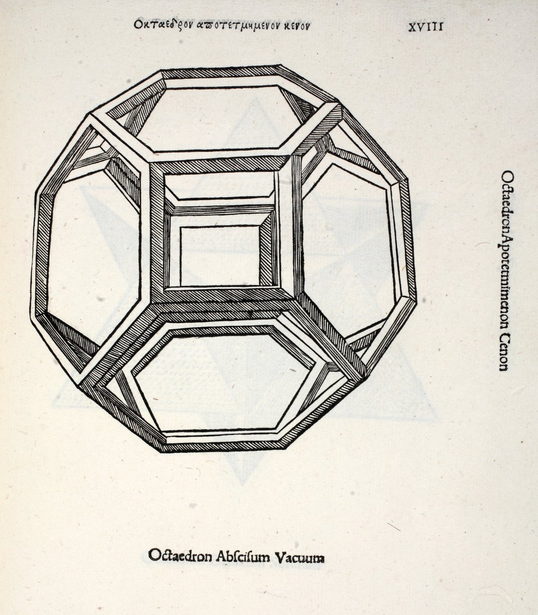Octocedron abscisum vacuum, illustratie uit 