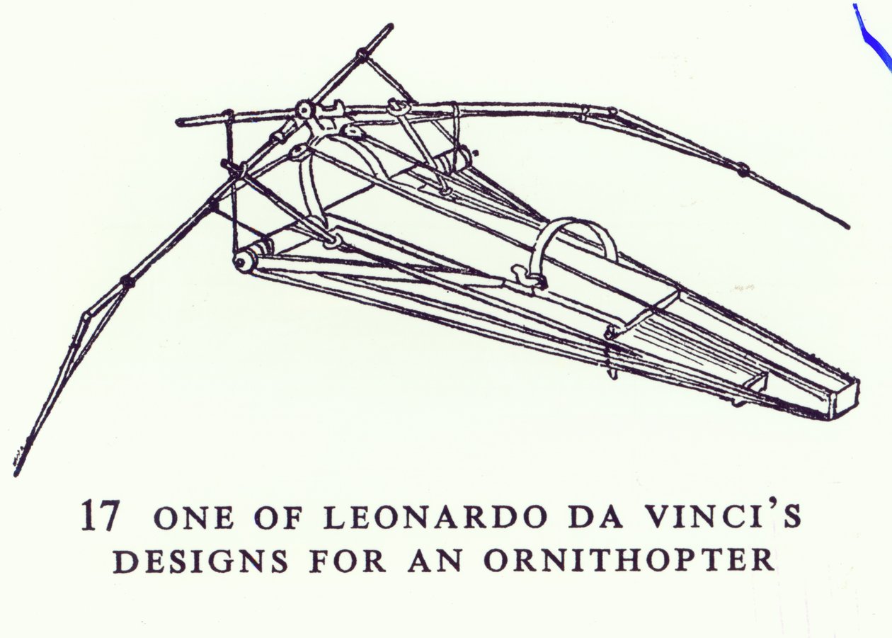 Een van Leonardo da Vinci