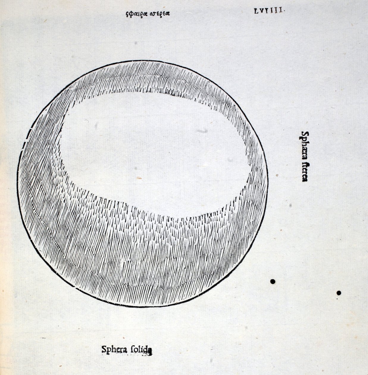 Sphera solida, illustratie uit 