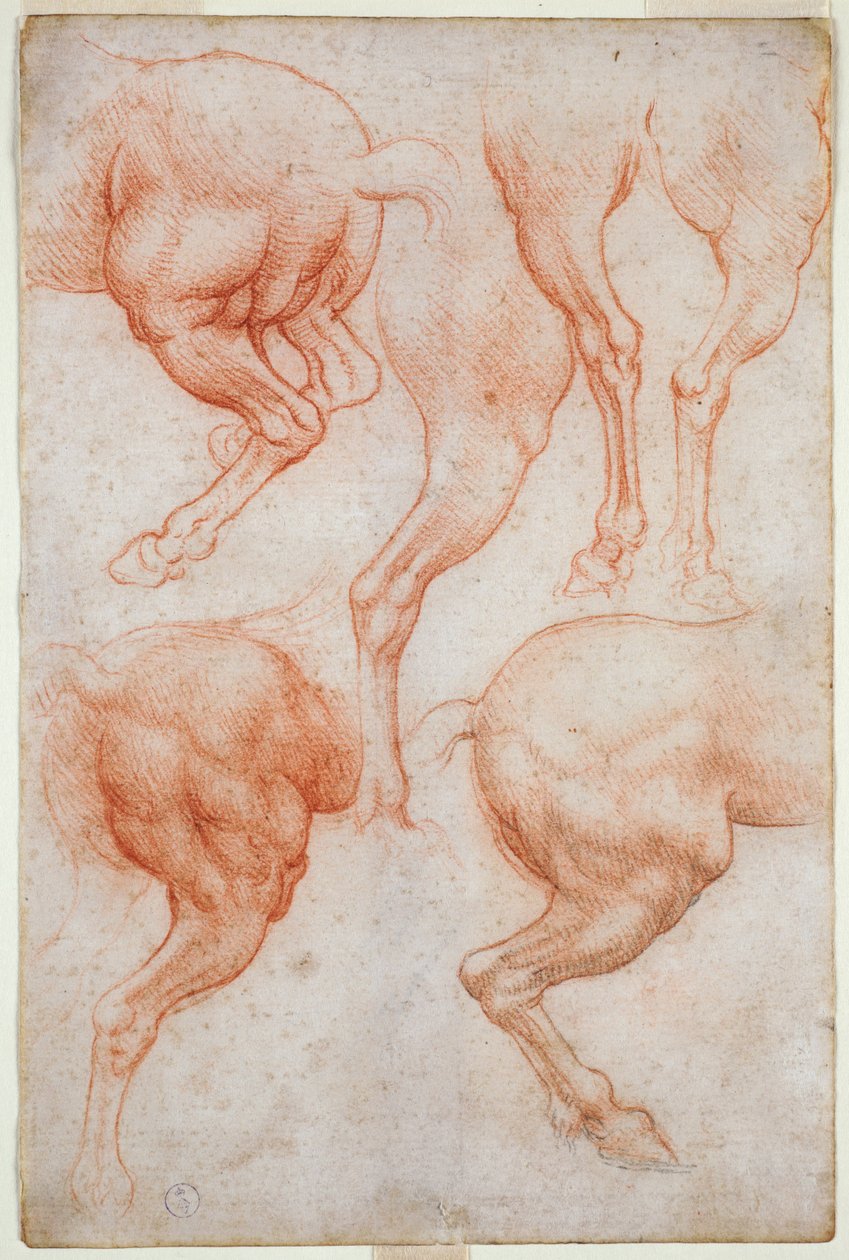 Studies van de achterbenen van het paard door Leonardo da Vinci