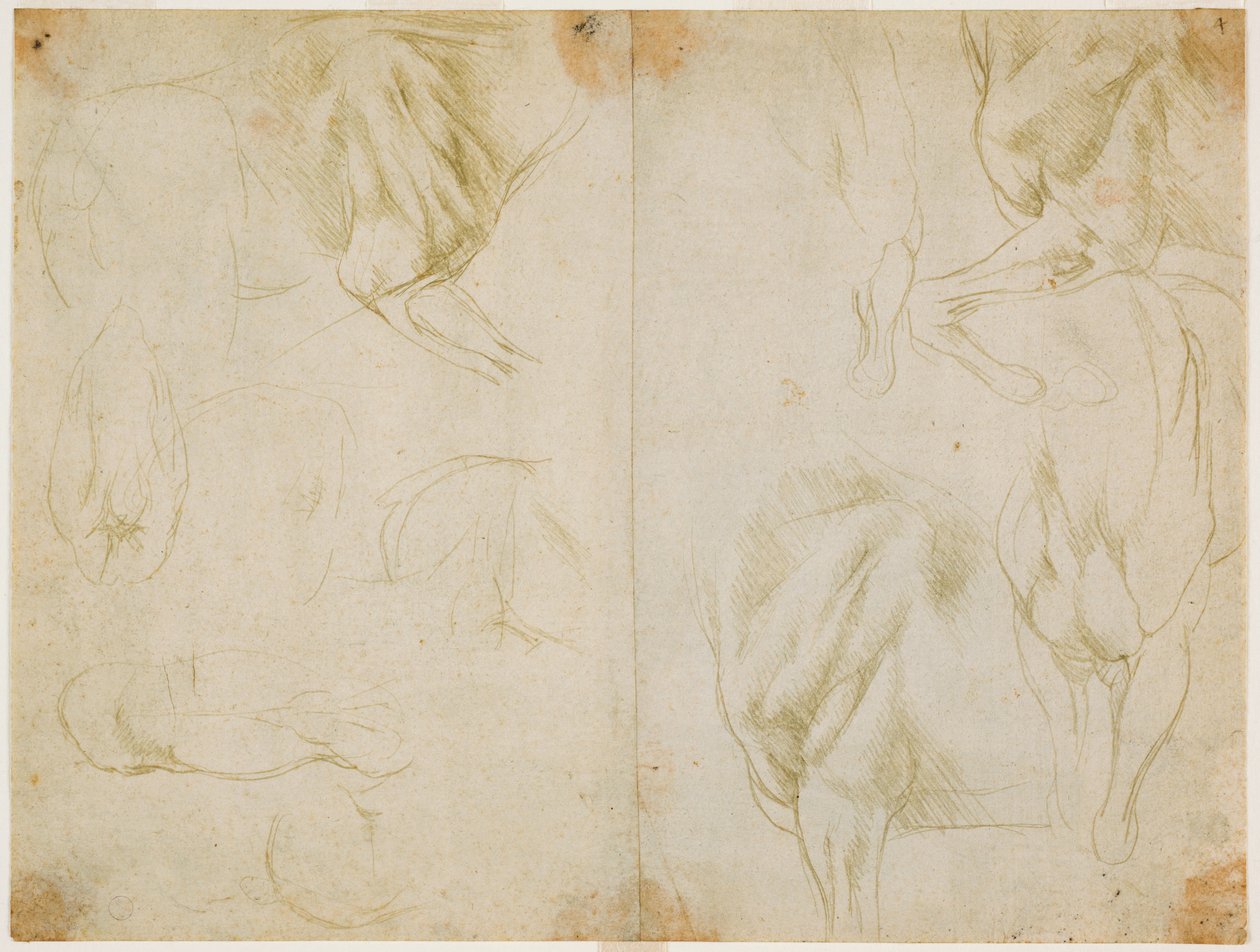 Studies van de voorbenen van het paard, c. 1480 door Leonardo da Vinci