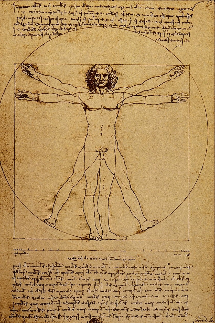 Studie van het Menselijk Lichaam door Leonardo da Vinci