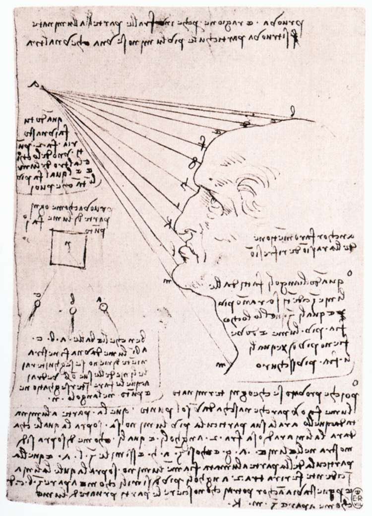 Studie van het effect van licht op een profielhoofd door Leonardo da Vinci