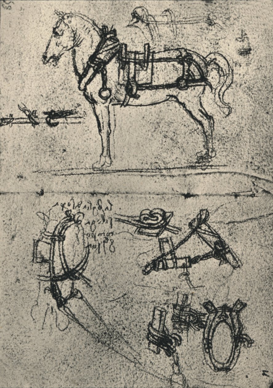 Een aangespannen trekpaard en studies van harnas door Leonardo da Vinci