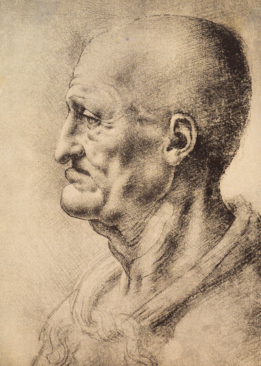 Een man in profiel, tekening door Leonardo da Vinci, bewaard in de Kamer van Tekeningen en Prenten, Uffizi Gallery, Florence door Leonardo da Vinci